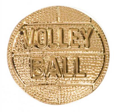 VOLLEYBALL CHENILLE
